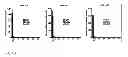 Fig. 09 - Oligosaccharides and oligosaccharide-protein conjugates derived from polysaccharide PS-I, methods of synthesis and uses thereof, in particular as vaccines and diagnostic tools