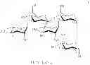 Fig. 29 - Oligosaccharides and oligosaccharide-protein conjugates derived from polysaccharide PS-I, methods of synthesis and uses thereof, in particular as vaccines and diagnostic tools