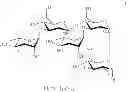 Fig. 30 - Oligosaccharides and oligosaccharide-protein conjugates derived from polysaccharide PS-I, methods of synthesis and uses thereof, in particular as vaccines and diagnostic tools