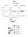 Fig. 16 - Membrane transporter NaPi2b (SCL34A2) epitope antibodies