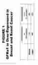 Fig. 02 - Methods and compositions for treating and diagnosing diseases