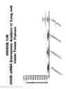 Fig. 159 - Methods and compositions for treating and diagnosing diseases