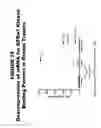 Fig. 20 - Methods and compositions for treating and diagnosing diseases