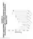 Fig. 34 - Methods and compositions for treating and diagnosing diseases