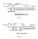 Fig. 17 - Fully human antibodies against human 4-1BB