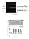 Fig. 07 - METHOD AND MEDICAMENT FOR INHIBITING LYMPHANGIOGENESIS