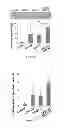 Fig. 09 - METHOD AND MEDICAMENT FOR INHIBITING LYMPHANGIOGENESIS