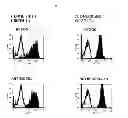 Fig. 02 - COMPOSITIONS AND METHODS FOR REGULATING NK CELL ACTIVITY