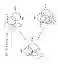 Fig. 08 - COMPOSITIONS AND METHODS FOR REGULATING NK CELL ACTIVITY