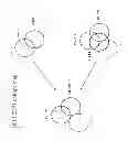 Fig. 10 - COMPOSITIONS AND METHODS FOR REGULATING NK CELL ACTIVITY