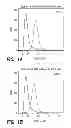 Fig. 02 - BCMA-BASED STRATIFICATION AND THERAPY FOR MULTIPLE MYELOMA PATIENTS