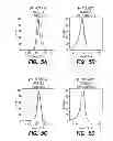 Fig. 08 - BCMA-BASED STRATIFICATION AND THERAPY FOR MULTIPLE MYELOMA PATIENTS