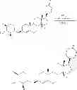 Fig. 07 - EXTRACELLULAR TARGETED DRUG CONJUGATES
