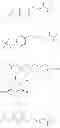Fig. 15 - Hydrophilic self-immolative linkers and conjugates thereof
