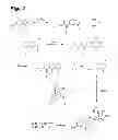 Fig. 02 - Enediyne compounds, conjugates thereof, and uses and methods therefor