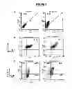 Fig. 03 - COMPOSITIONS AND METHODS FOR CANCER TREATMENT