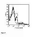 Fig. 19 - COMPOSITIONS AND METHODS FOR CANCER TREATMENT