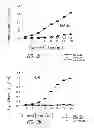 Fig. 03 - VACCINE COMPOSITION CONTAINING SYNTHETIC ADJUVANT
