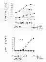 Fig. 04 - VACCINE COMPOSITION CONTAINING SYNTHETIC ADJUVANT