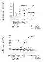 Fig. 05 - VACCINE COMPOSITION CONTAINING SYNTHETIC ADJUVANT