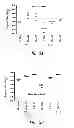 Fig. 07 - VACCINE COMPOSITION CONTAINING SYNTHETIC ADJUVANT