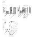 Fig. 11 - Herpes virus vaccine and methods of use