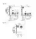 Fig. 12 - Herpes virus vaccine and methods of use