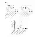 Fig. 14 - Herpes virus vaccine and methods of use