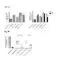 Fig. 16 - Herpes virus vaccine and methods of use