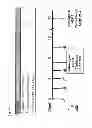 Fig. 22 - Herpes virus vaccine and methods of use
