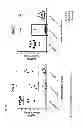 Fig. 24 - Herpes virus vaccine and methods of use