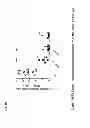 Fig. 26 - Herpes virus vaccine and methods of use