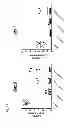 Fig. 27 - Herpes virus vaccine and methods of use
