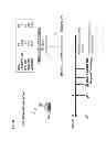 Fig. 29 - Herpes virus vaccine and methods of use