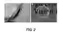 Fig. 03 - SILK COMPOSITIONS AND METHODS OF USING SAME