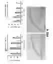 Fig. 05 - SILK COMPOSITIONS AND METHODS OF USING SAME