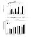 Fig. 06 - METHODS FOR PREPARATION OF NEO-CARTILAGE CONSTRUCTS