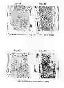 Fig. 07 - METHODS FOR PREPARATION OF NEO-CARTILAGE CONSTRUCTS