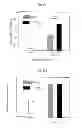 Fig. 10 - METHODS FOR PREPARATION OF NEO-CARTILAGE CONSTRUCTS