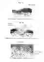 Fig. 12 - METHODS FOR PREPARATION OF NEO-CARTILAGE CONSTRUCTS