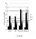 Fig. 17 - METHODS FOR PREPARATION OF NEO-CARTILAGE CONSTRUCTS