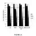 Fig. 19 - METHODS FOR PREPARATION OF NEO-CARTILAGE CONSTRUCTS