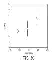 Fig. 06 - MATERIALS AND METHODS FOR CONTROLLING VASCULOGENESIS FROM ENDOTHELIAL COLONY FORMING CELLS