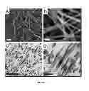 Fig. 03 - COLLAGEN BASED MATERIALS AND USES RELATED THERETO