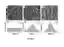 Fig. 04 - COLLAGEN BASED MATERIALS AND USES RELATED THERETO