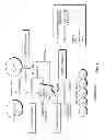 Fig. 12 - TOPICAL ANTI-INFLAMMATORY COMPOSITIONS AND USES THEREOF