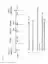Fig. 03 - Therapeutic vaccines for treating herpes simplex virus type-2 infections