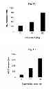 Fig. 07 - Dopamine nanocapsules and uses thereof