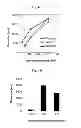 Fig. 08 - Dopamine nanocapsules and uses thereof