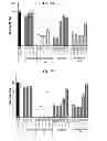 Fig. 17 - Dopamine nanocapsules and uses thereof